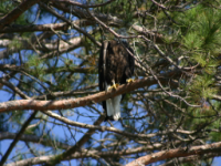 img_5027.jpg